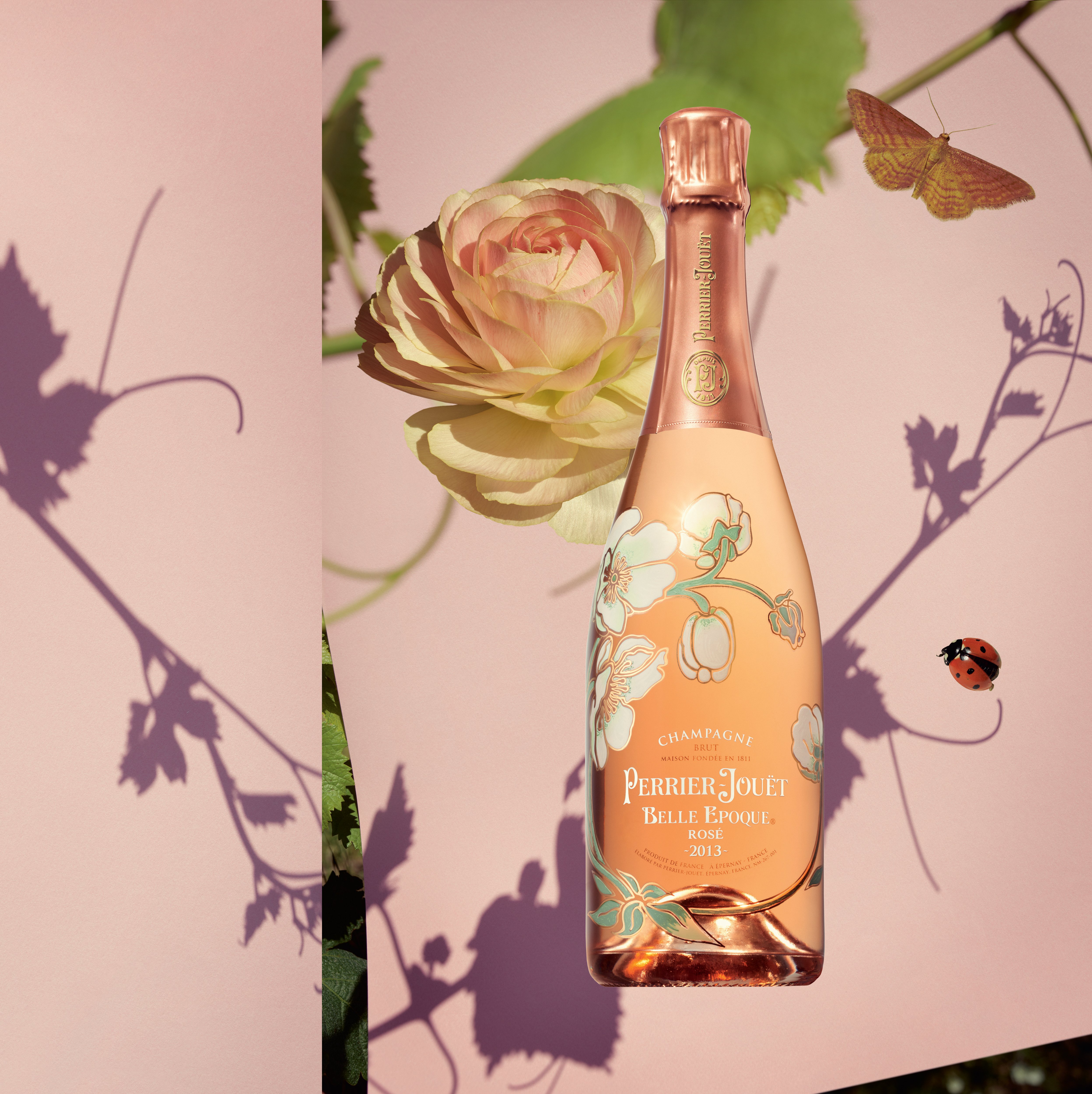 be-rose