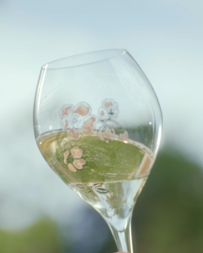 Disgorgement
