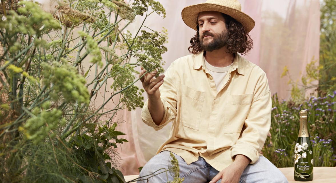 Fernando Laposse Collaboration
