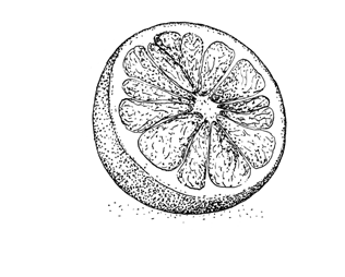 citrus