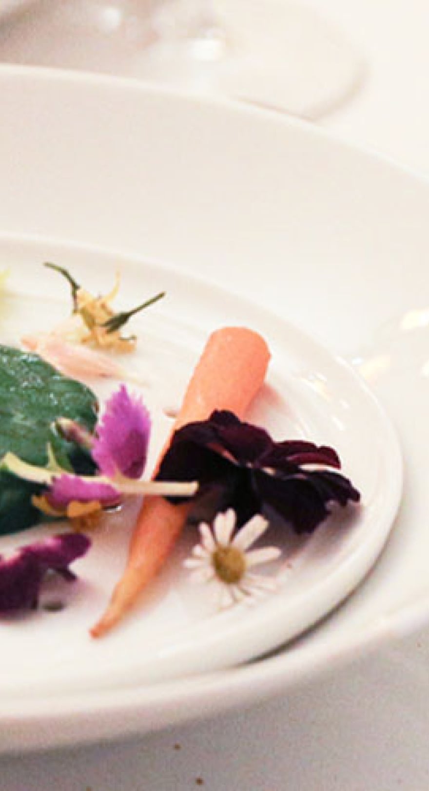 Gastronomy Maison Belle-Epoque
