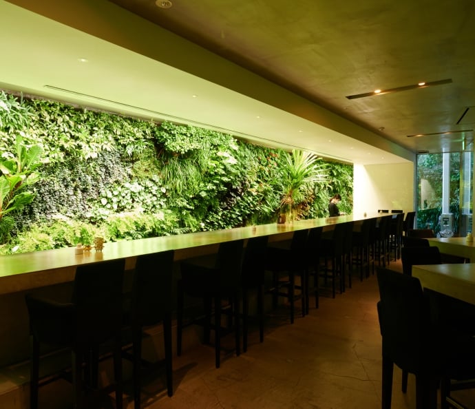WALL