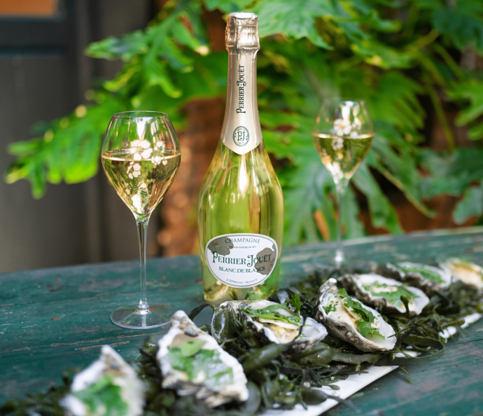 Pierre Gagnaire Gaya Oysters