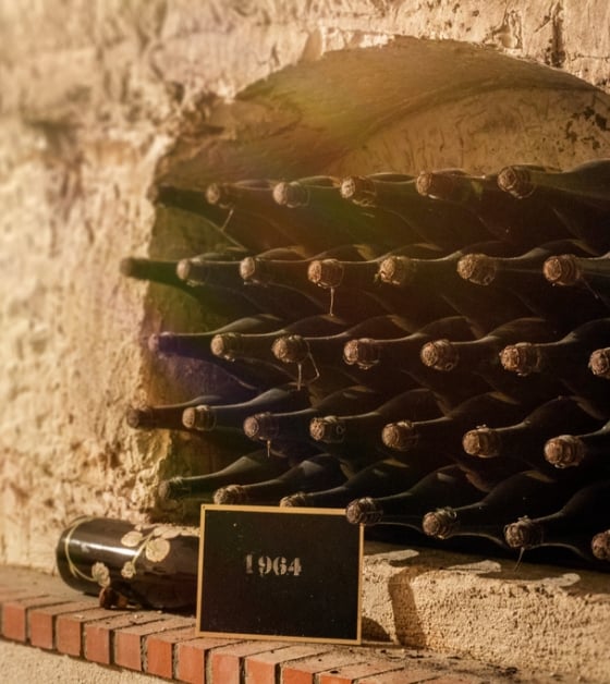 cellar